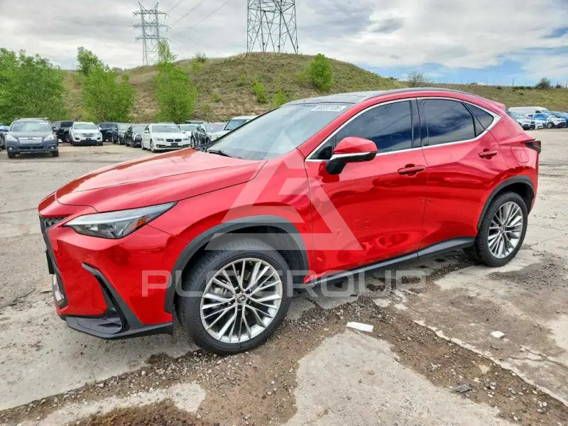 2022 Lexus NX photo