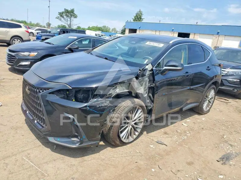 2022 Lexus NX250 photo