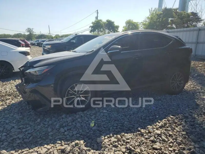 2022 Lexus NX250 photo