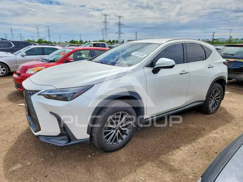 2022 Lexus NX фото