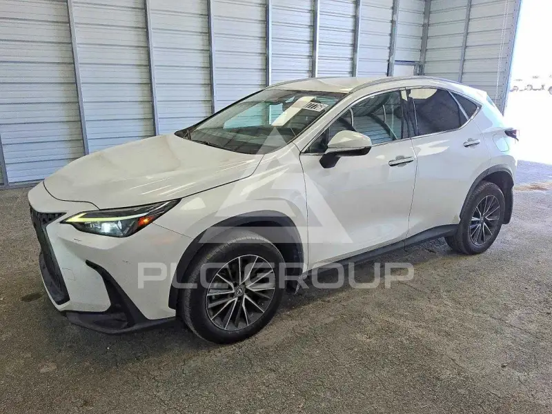2022 Lexus NX фото