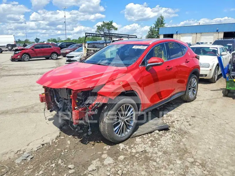2022 Lexus NX250 photo