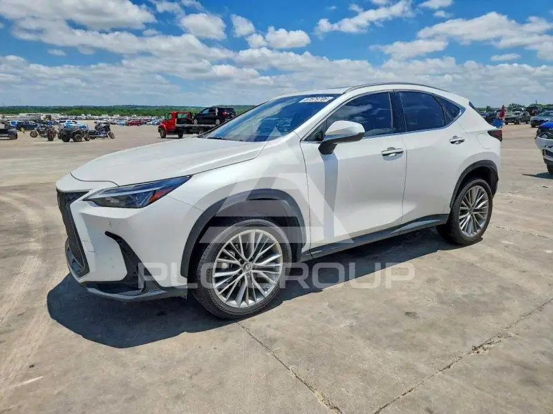 2022 Lexus NX photo