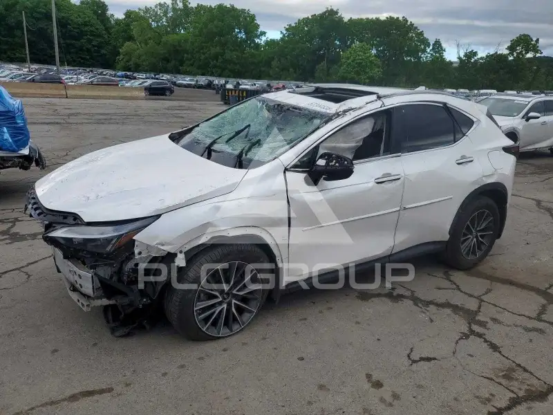 2022 Lexus NX фото