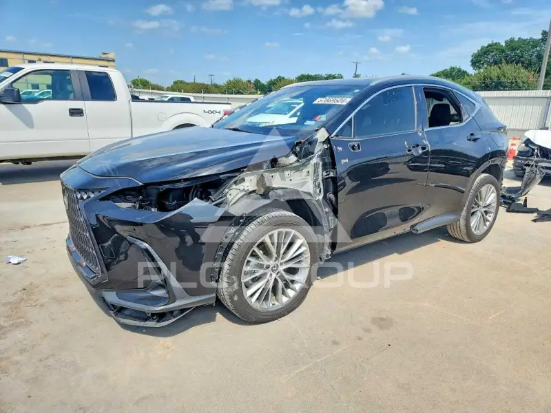 2022 Lexus NX фото