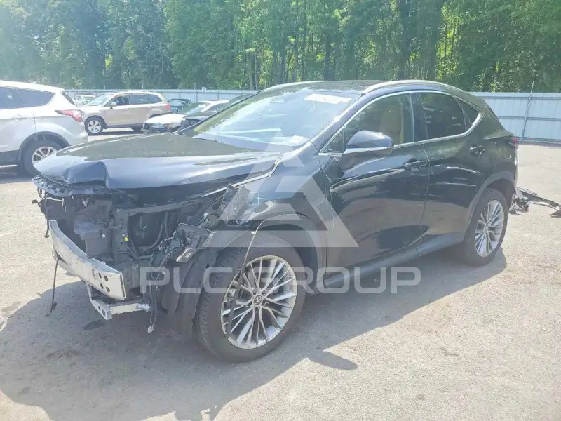 2022 Lexus NX250 photo