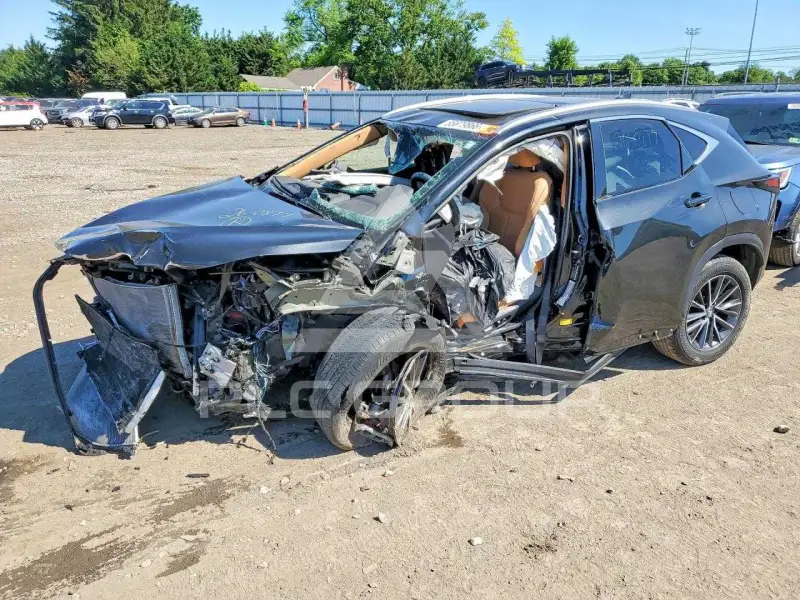 2022 Lexus NX фото