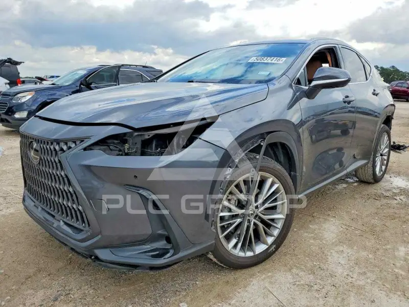 2022 Lexus NX фото