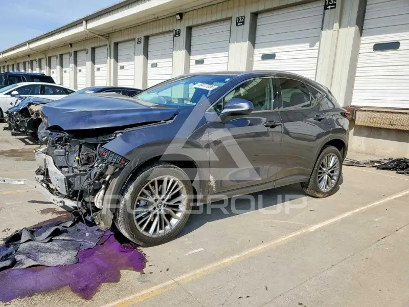 2022 Lexus NX250 фото