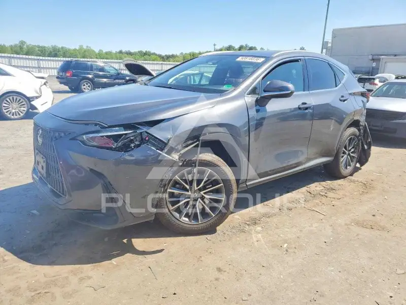 2022 Lexus NX фото
