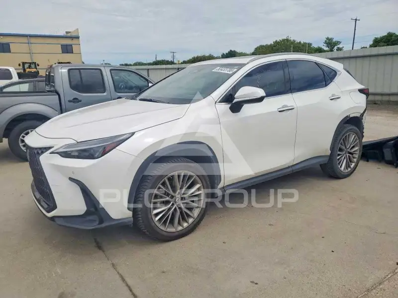 2022 Lexus NX фото