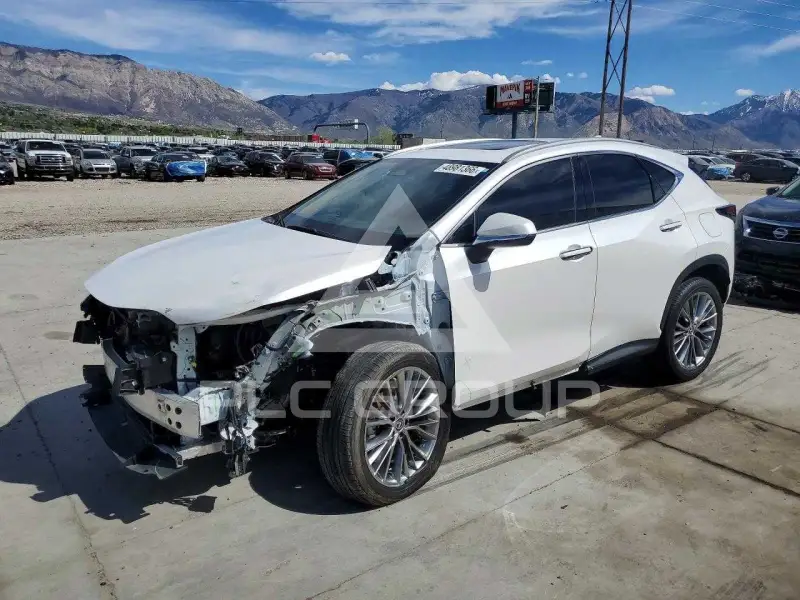 2022 Lexus NX250 фото