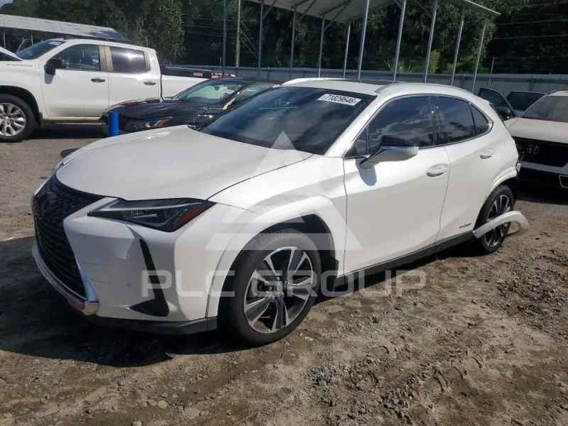 2022 Lexus UX фото