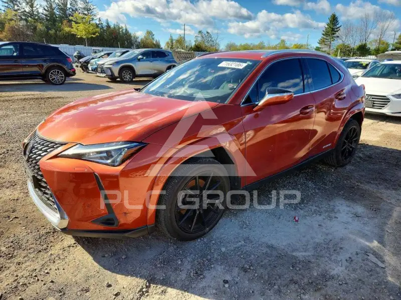 2022 Lexus UX photo