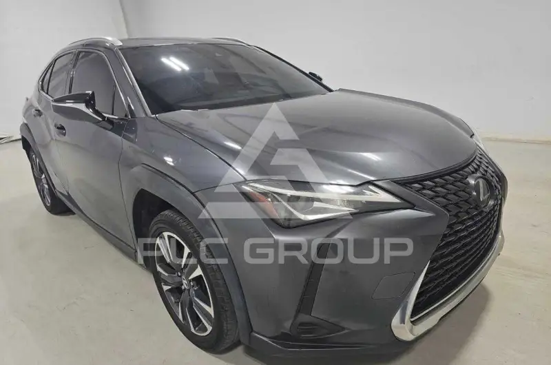 2022 Lexus UX фото