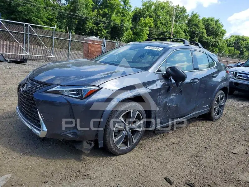 2022 Lexus UX250 фото