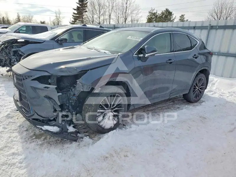 2022 Lexus NX250 photo