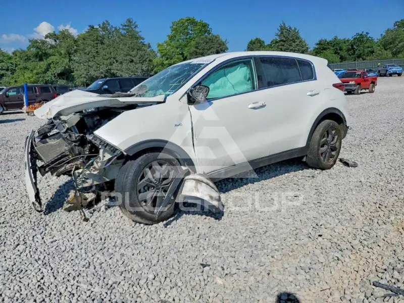 2022 KIA Sportage фото