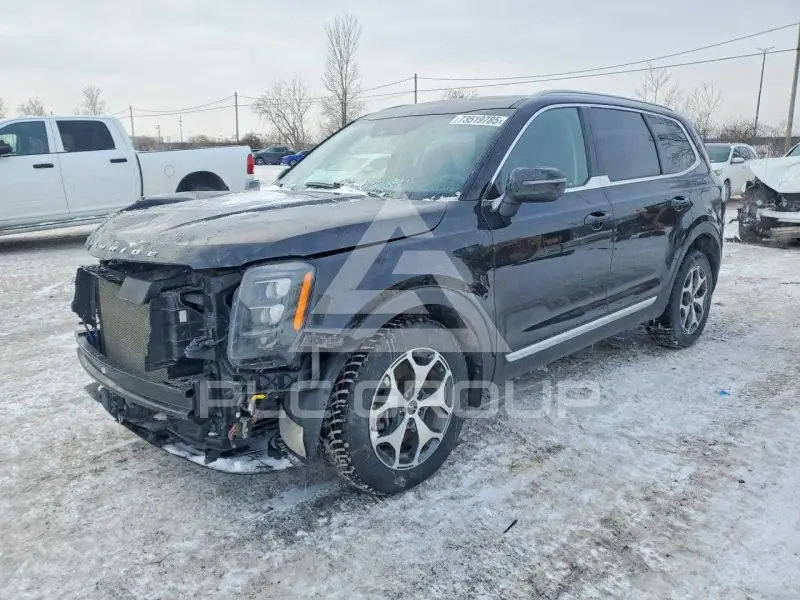 2022 KIA Telluride photo