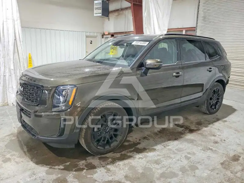 2022 KIA Telluride photo