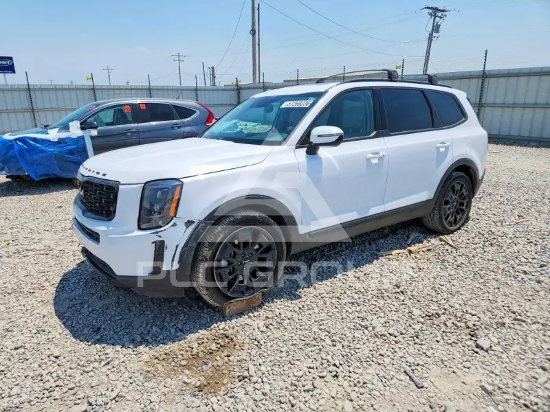2022 KIA Telluride photo