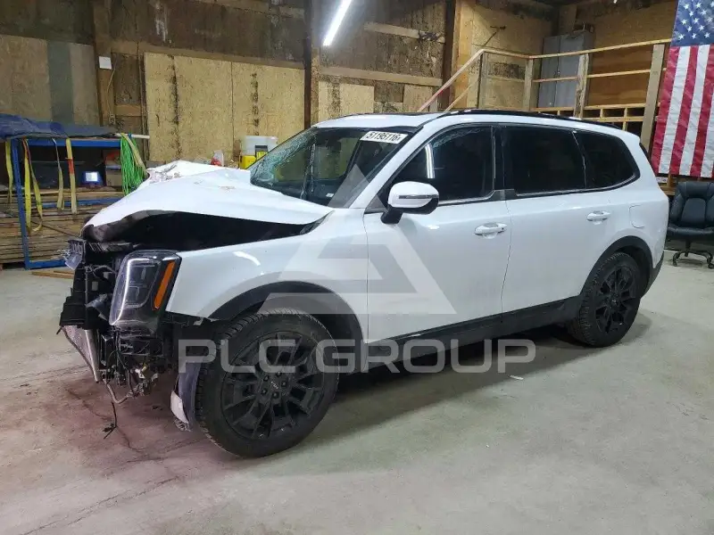 2022 KIA Telluride photo