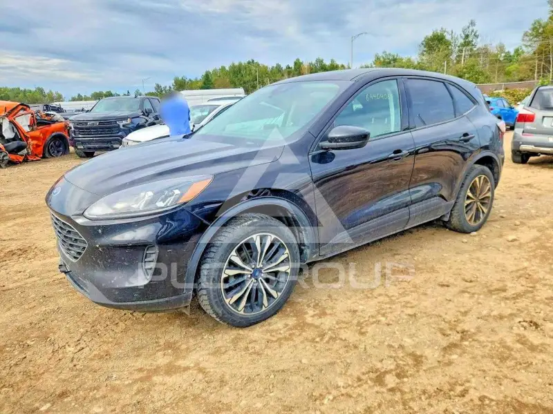 2022 Ford ESCAPE фото