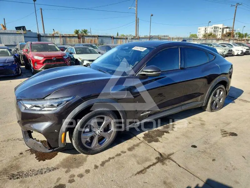 2022 Ford MUSTANG photo