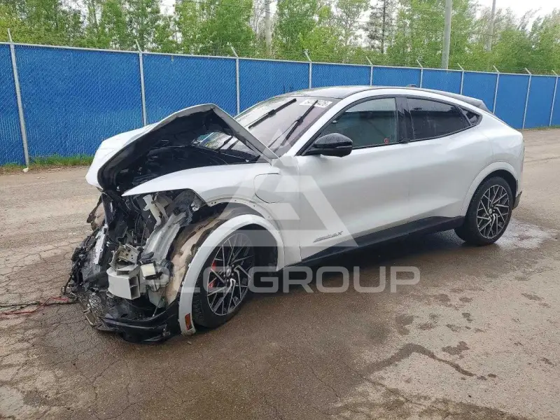 2022 Ford MUSTANG photo