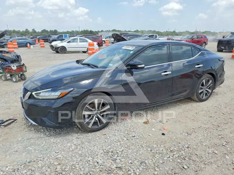 2023 Nissan MAXIMA photo