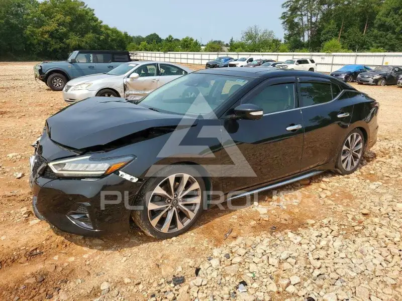 2023 Nissan MAXIMA photo