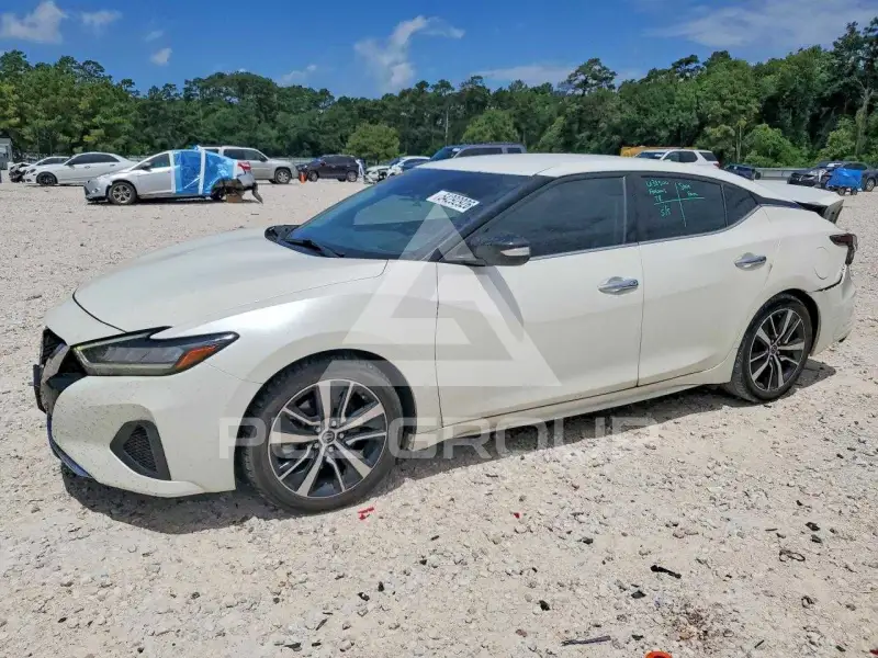 2023 Nissan MAXIMA photo