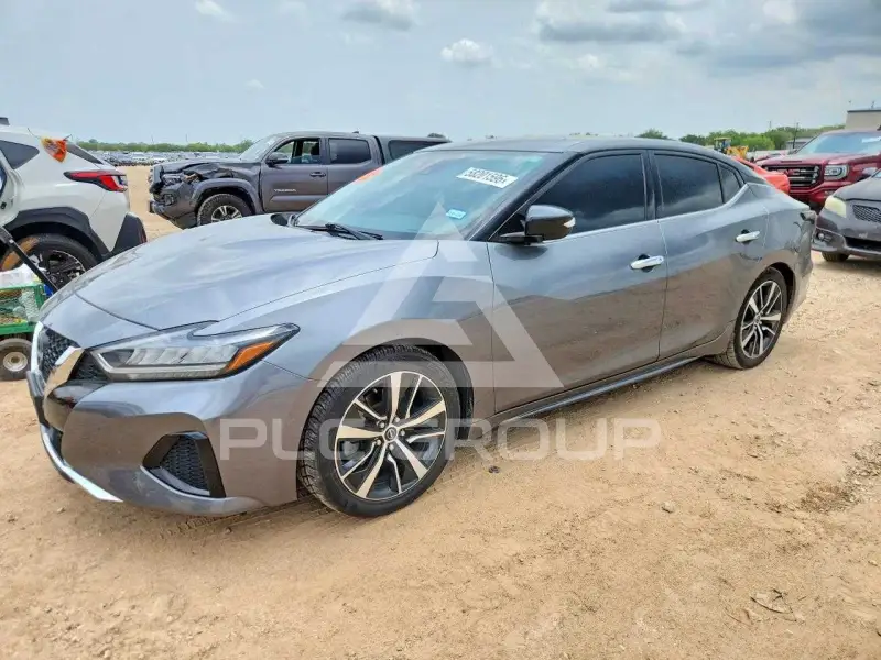 2023 Nissan MAXIMA photo