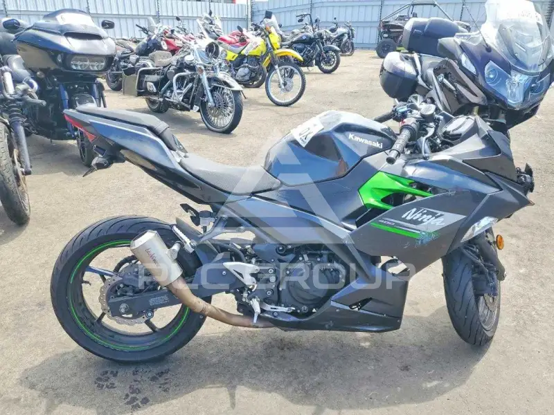 2023 Kawasaki  photo