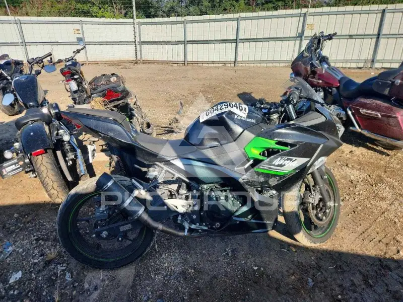 2023 Kawasaki  фото