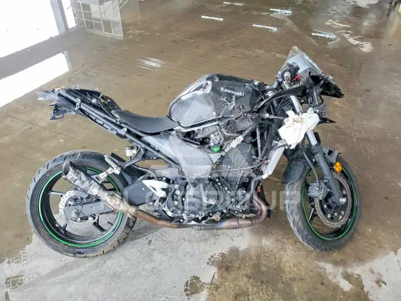 2023 Kawasaki  фото