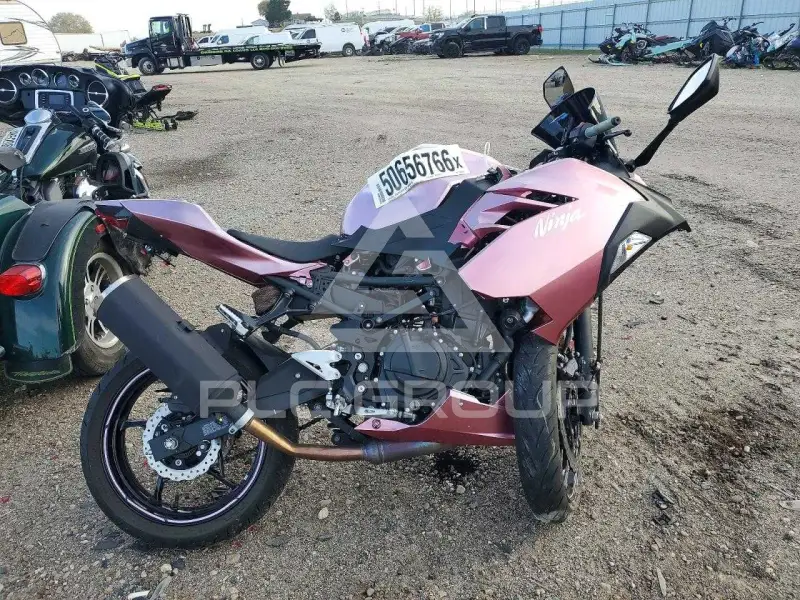 2023 Kawasaki  фото