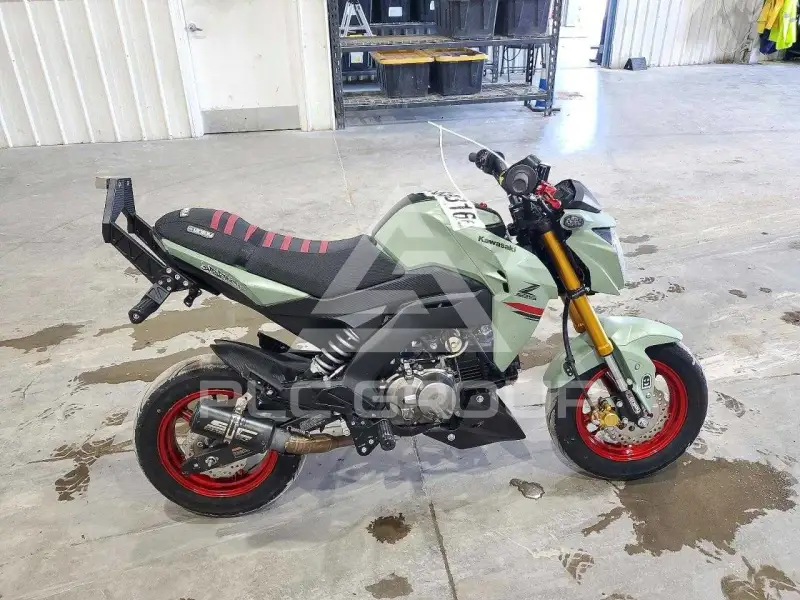 2023 Kawasaki  фото