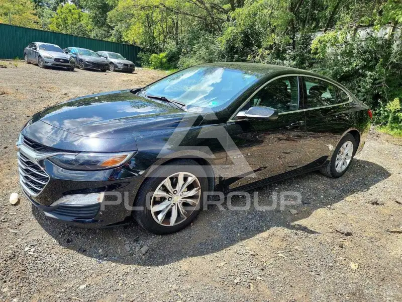 2023 Chevrolet Malibu photo