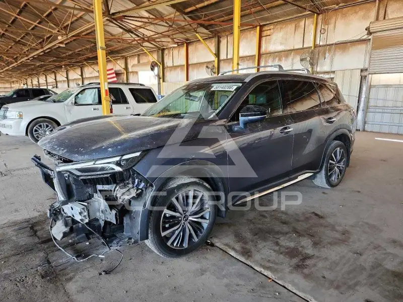 2023 Infinity QX60 фото