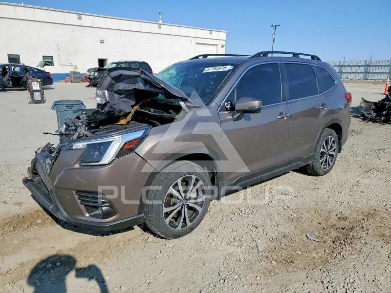 2023 Subaru Forester photo