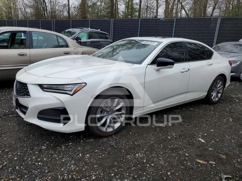 2023 Acura TLX photo
