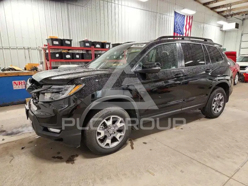 2023 Honda PASSPORT photo