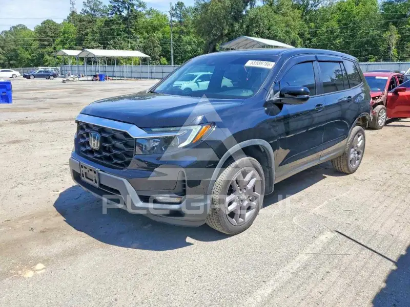 2023 Honda PASSPORT photo