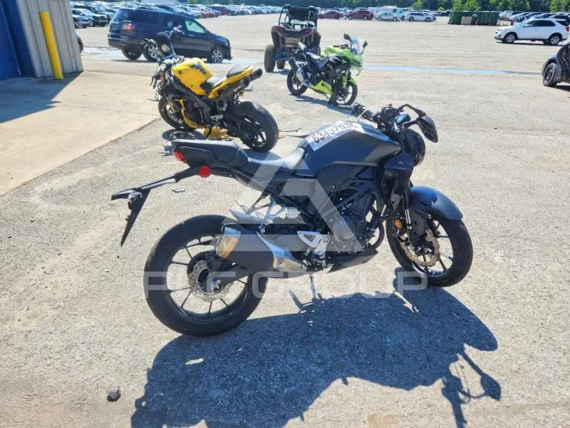 2023 Honda CB фото