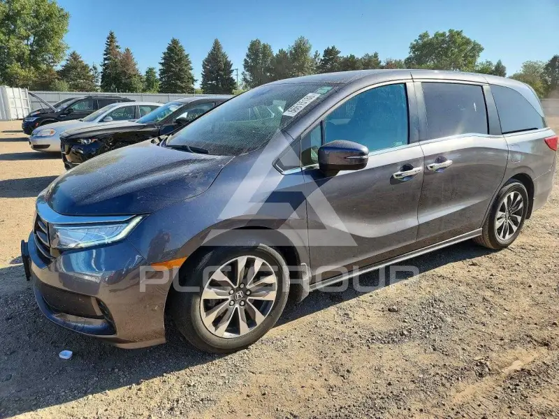 2023 Honda ODYSSEY photo