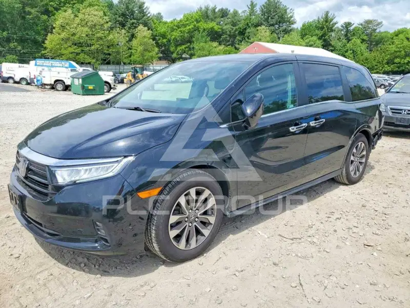 2023 Honda ODYSSEY photo