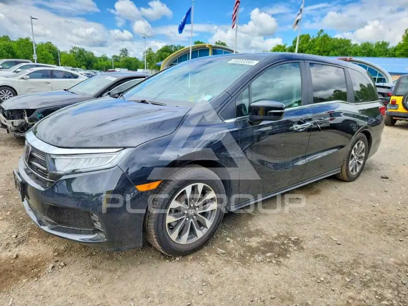2023 Honda ODYSSEY фото