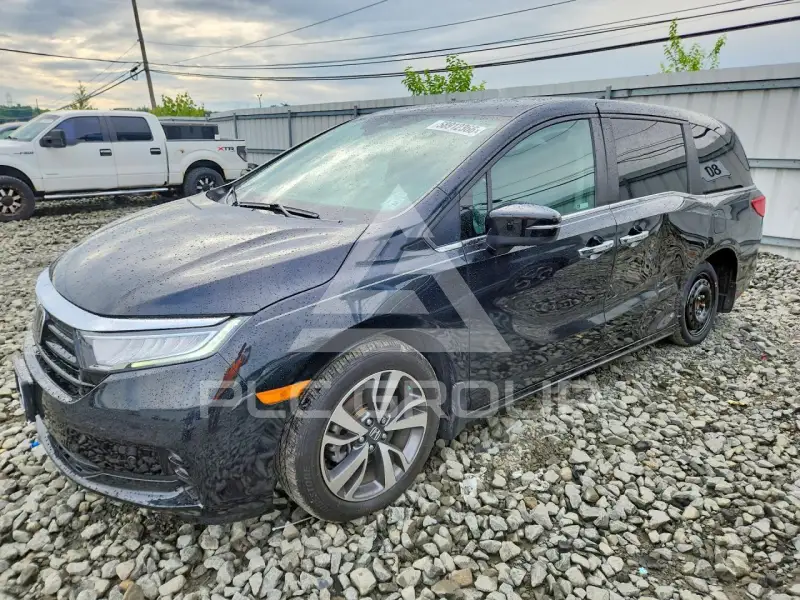 2023 Honda ODYSSEY фото