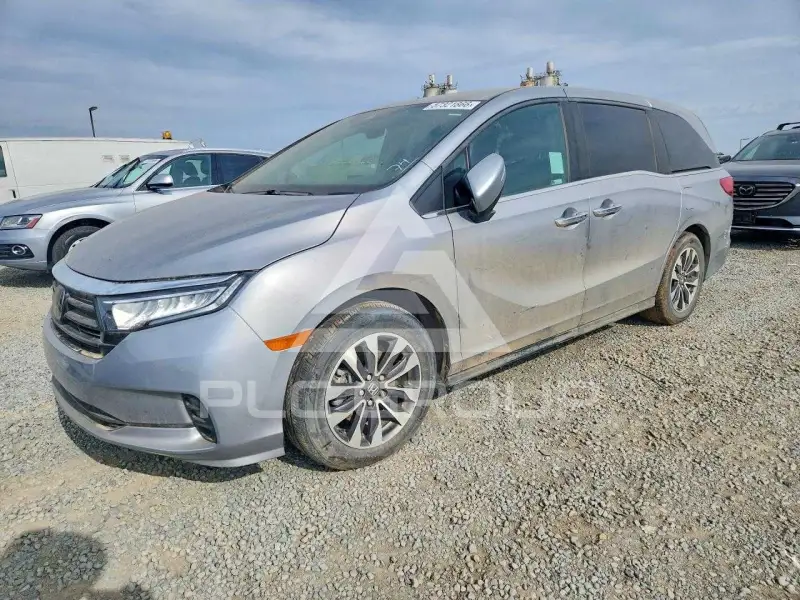 2023 Honda ODYSSEY фото